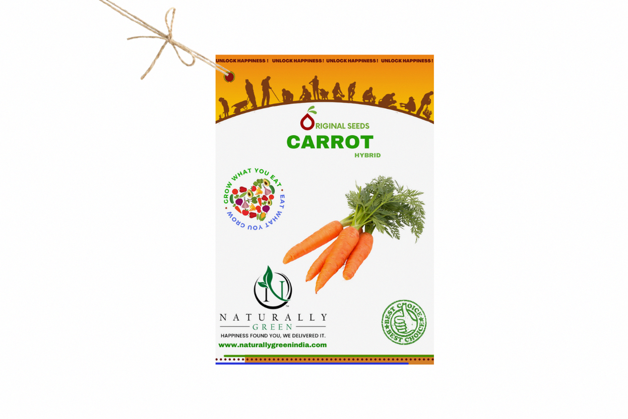 Vegetable Seeds