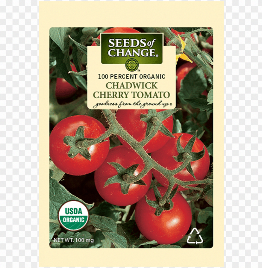 Beefsteak Tomato Seeds
